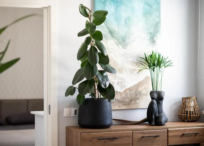 Old Town Free Parking Apartment Klaipeda